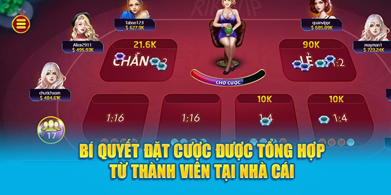 Bí quyết đặt cược được tổng hợp từ thành viên tại nhà cái